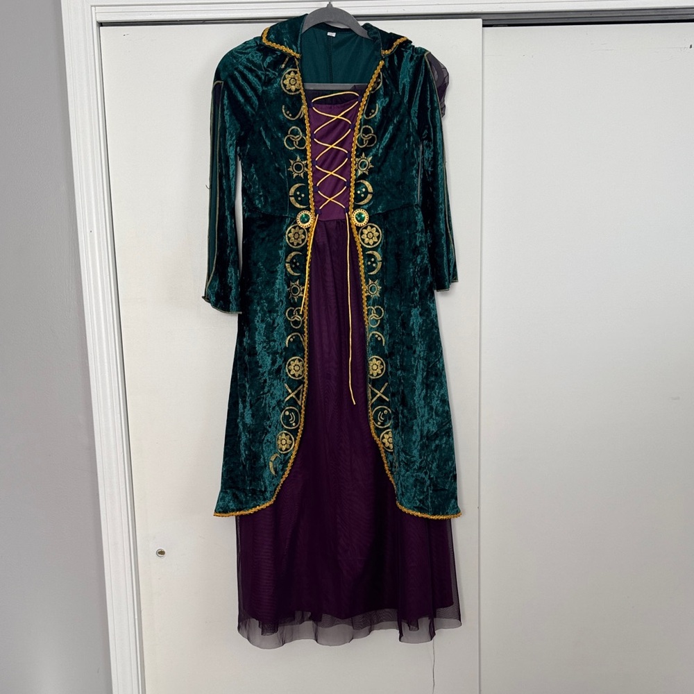 Green and Purple Velvet Dress with Gold Accents